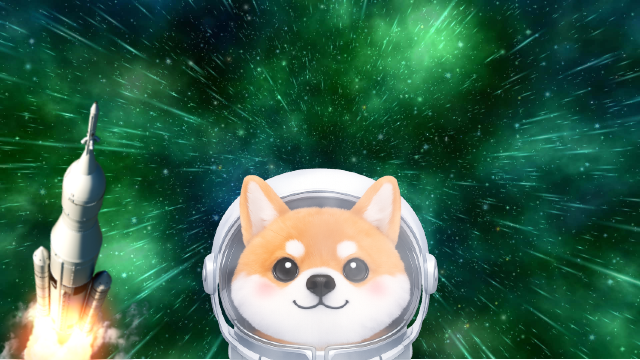 Image for ASTEROID